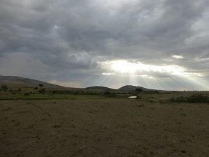 Dusk in the Masai Mara