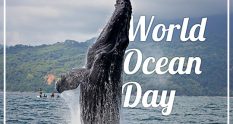 world ocean day