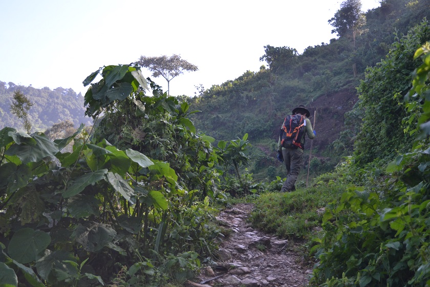 gorilla trek uganda