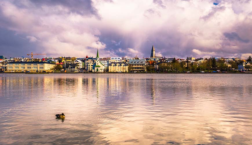 duck floating on the sea looking at the skyline view of reykjavik in iceland