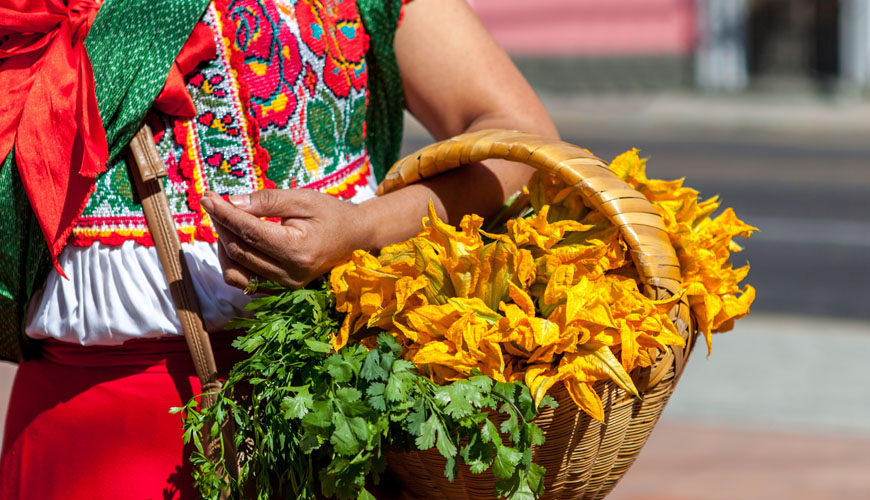 Tradtional Mexican Clothing worn by local woman at market