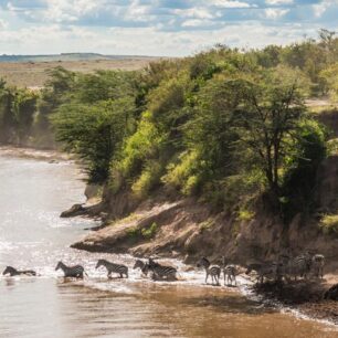 Africa