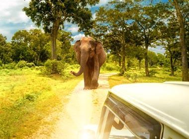 Sri Lanka