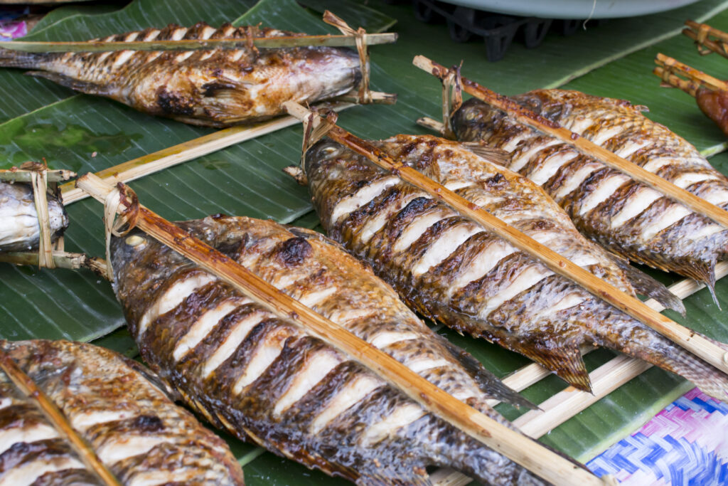 Fresh local food, Laos, Asia