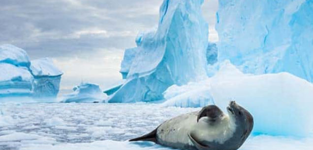 Antarctica