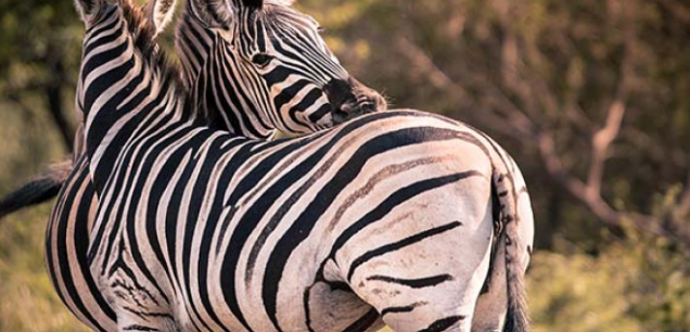 Botswana