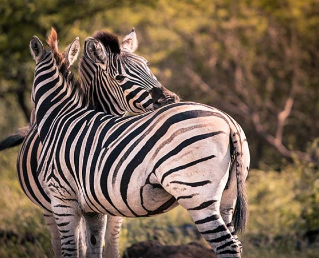 Botswana