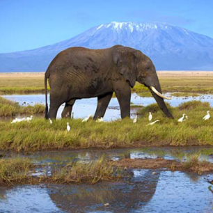 Tanzania