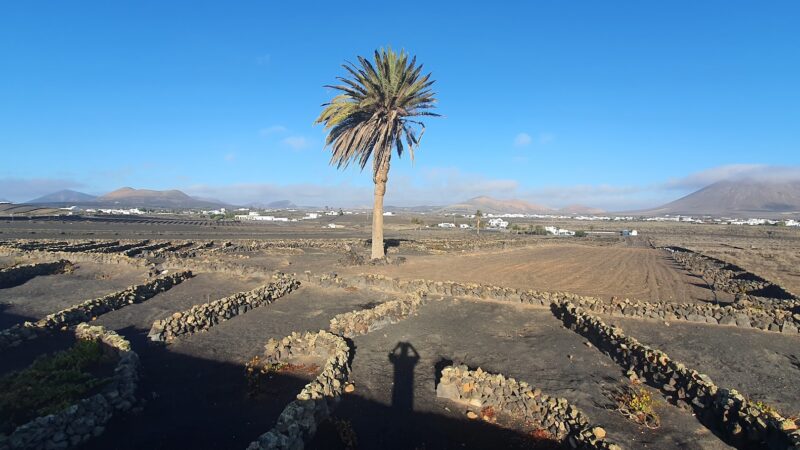 Lanzarote Canary Islands Spain Landscape