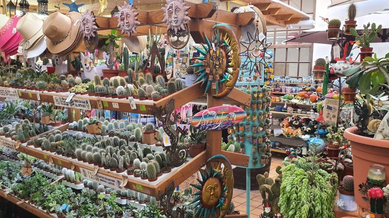 Lanzarote Canary Islands Spain Teguise Markets